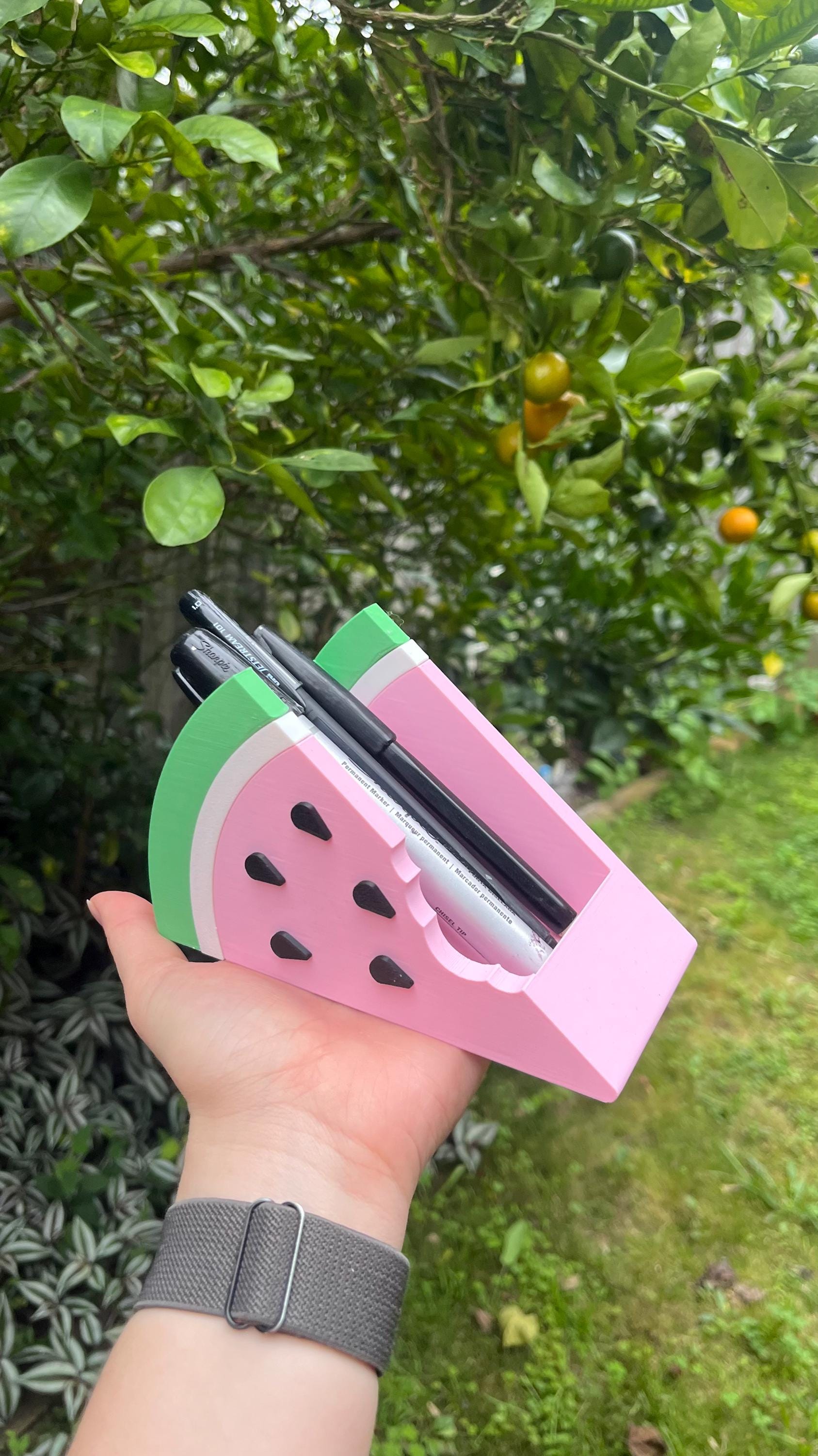 Watermelon Desk Organizer: Pen & Makeup Brush Holder